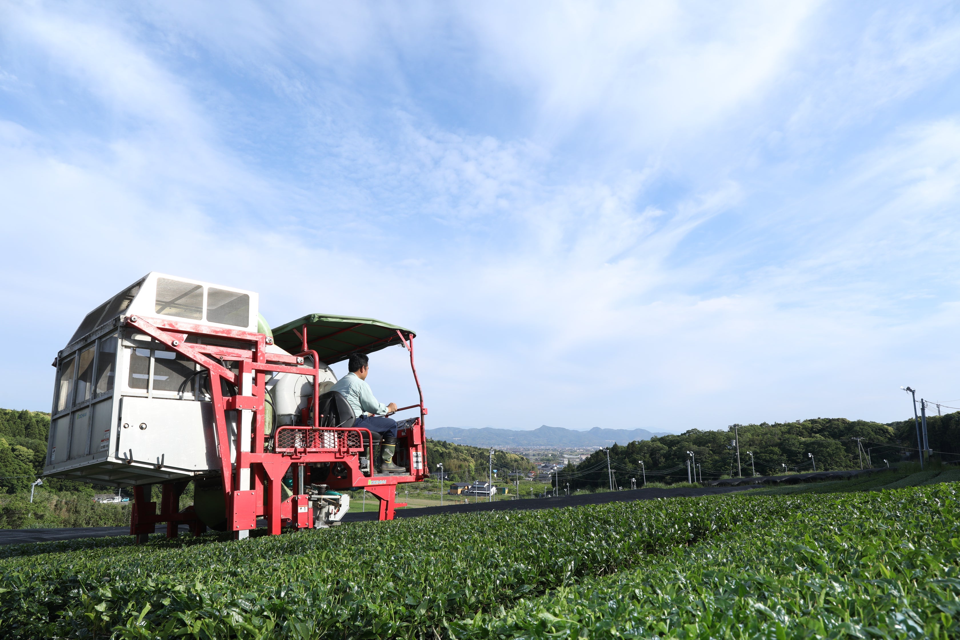 Red agricultural machine harvesting tea in a field with a clear blue sky.